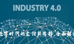 PAY虚拟币：数字时代的支付新选择，全面解读及