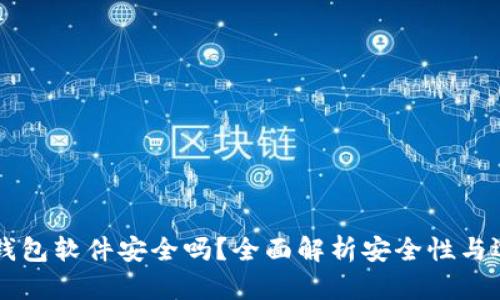 虚拟币钱包软件安全吗？全面解析安全性与选择指南